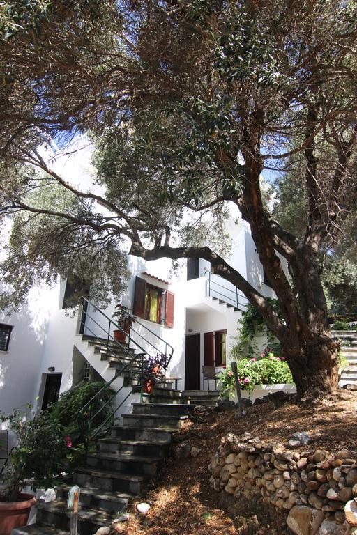 Apartment Eleonas